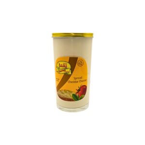 Basma Cheddar Cheese 8.5 Oz X 24